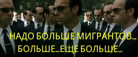 Мигранты громят французские школы