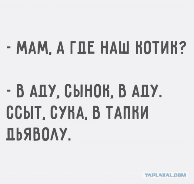 Смешные комментарии из социальных сетей 07.04.2017