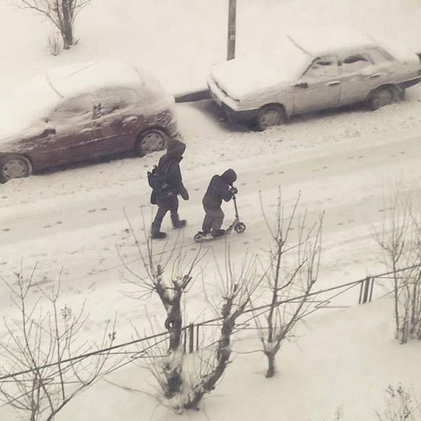 Подборка безудержного веселья