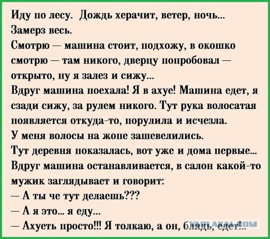 Подборка интересных и веселых картинок