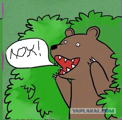 История развода: жена запрещала играть в игры