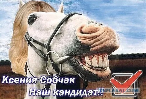 Самые глупые запреты, в существование которых трудно поверить