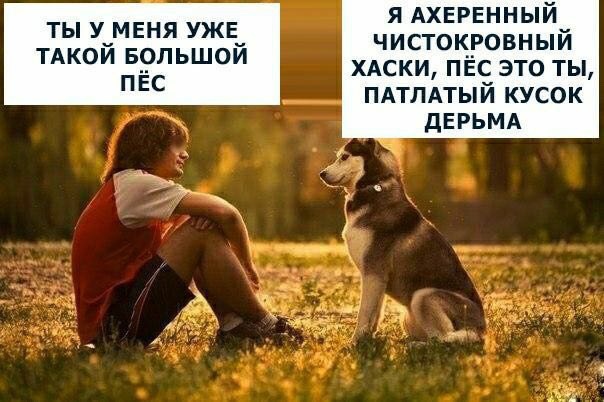 Немного бредового юмора на вечер субботы