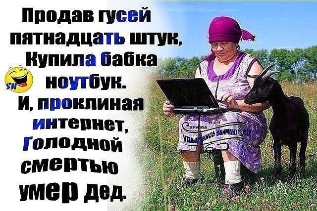 Подборка интересных и веселых картинок 03.06.19