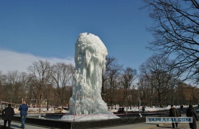 Дождитесь,  пожалуйста, кита