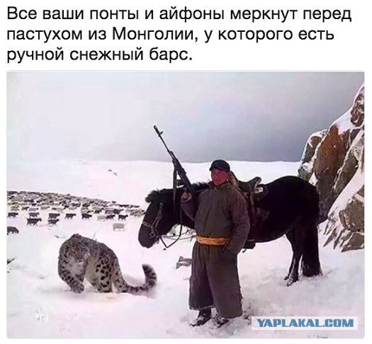 Немного картинок для настроения 09.12.19