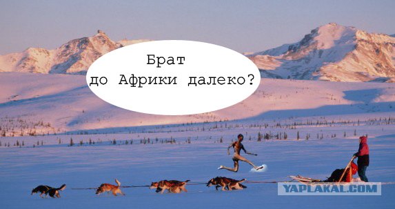 Фотожаба: А ты куда ?