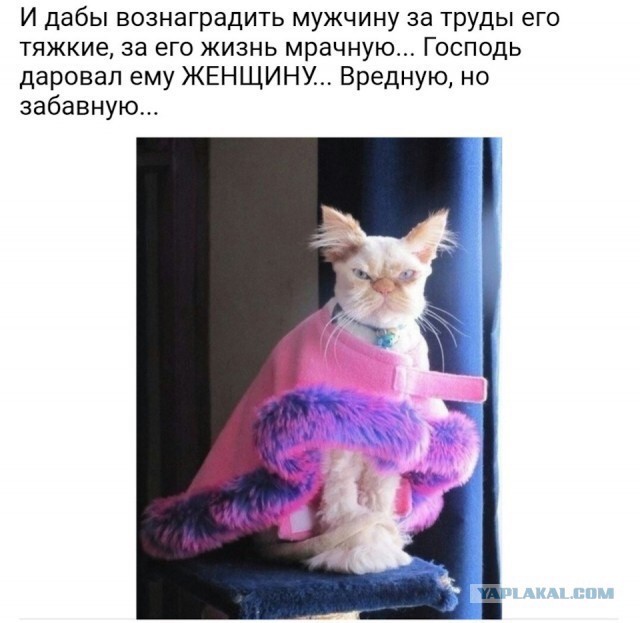 Лен, ну ты вообще охренела! Ты же столько не работаешь, сколько жрёшь...