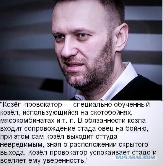 Мирная прогулка = ледовое побоище.
