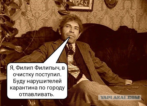 Безработица в РФ? Я всем нашел работу...