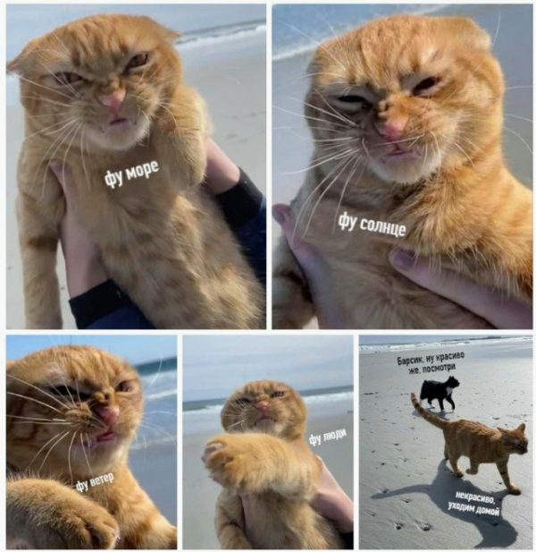 Картинки и мемы для настроения 04.08.2021