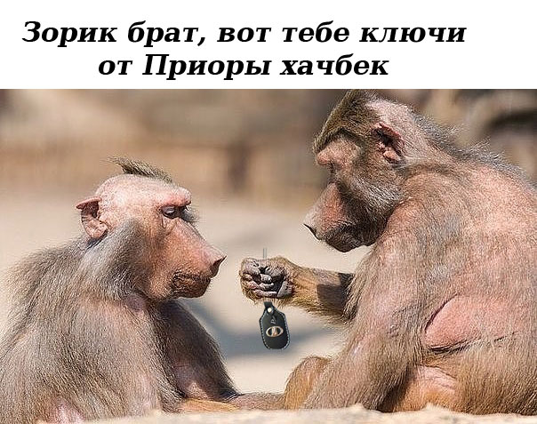 В Махачкале машина влетела в рекламный щит, который разорвал ее пополам