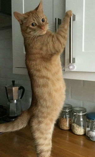 А что никто никого с праздником не поздравляет?