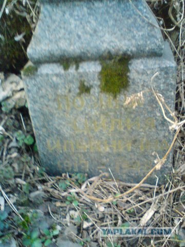 Заброшенное еврейское кладбище в Орле (24 фото)