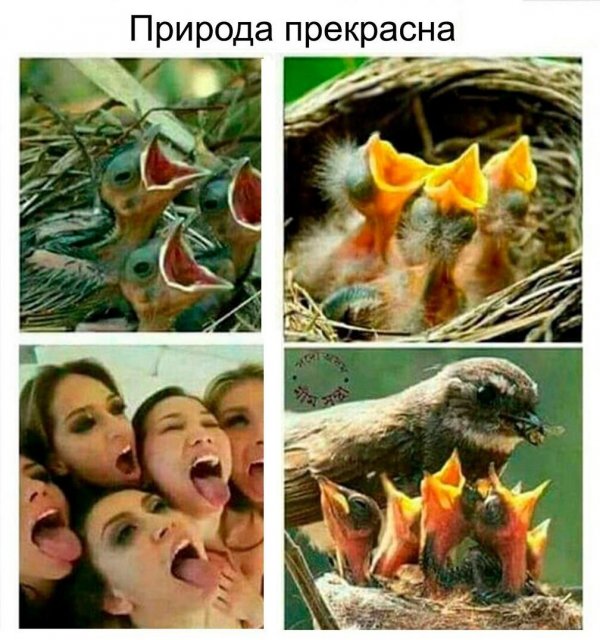 Разные картинки для настроения на любой вкус - 6