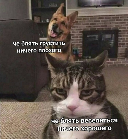 Так себе картинки 02.08.22