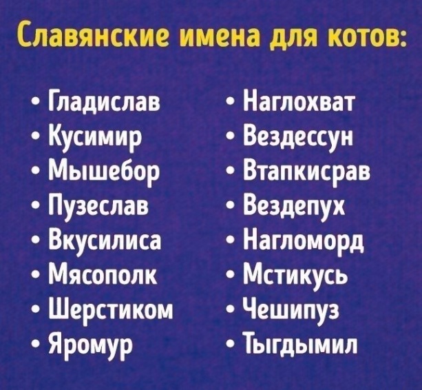 Просто картинки 26.08.22