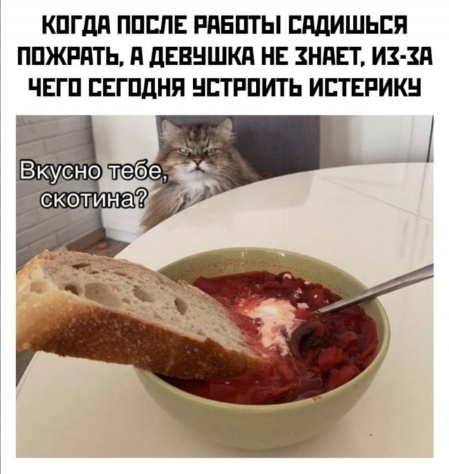 Картинки и мемы, всем хороших выходных