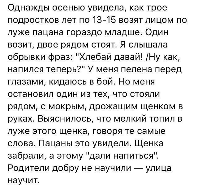 Так себе картинки 21.10.22