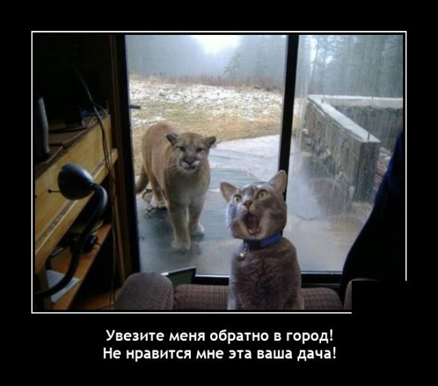 Картинки с надписями 04.12.22