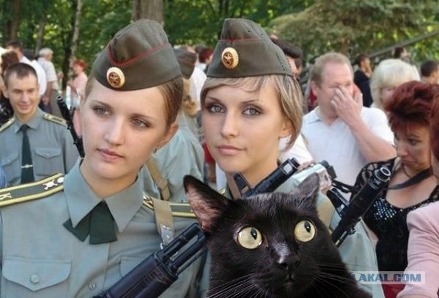 Наши девушки охраняют наш покой