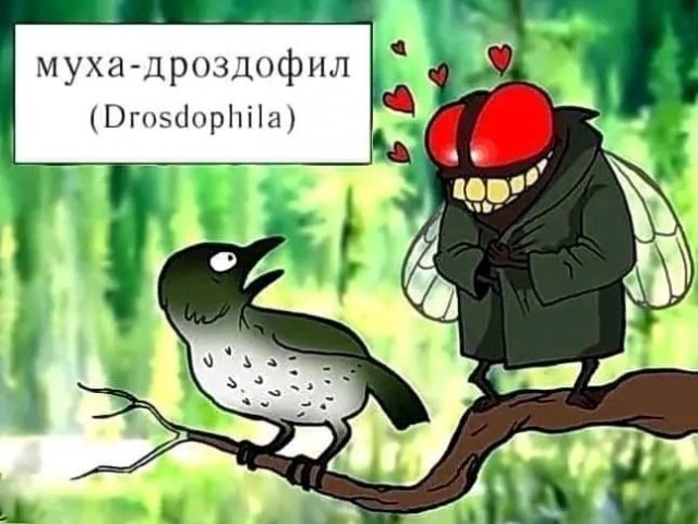 Прикольные и просто красивые картинки 15.12.2023