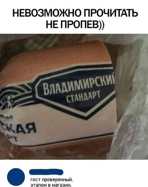 Весёлый полтишок 13.08.24
