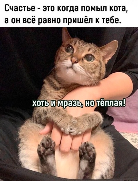 Так себе картинки 16.01.25