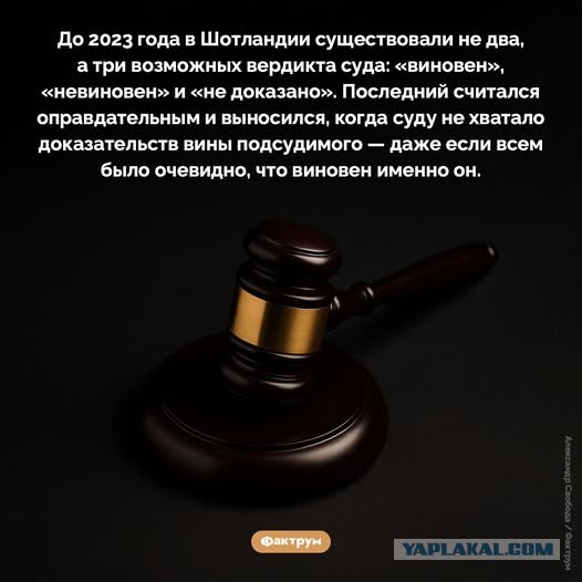 Картиночки, баянчики 10 декабря