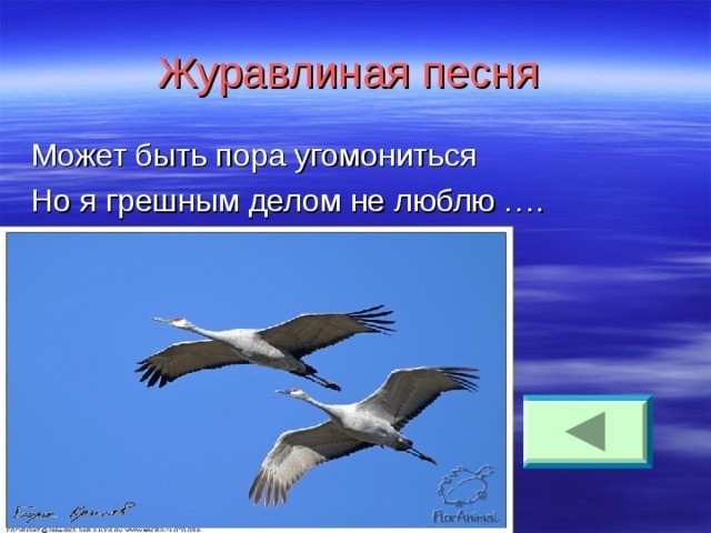 Когда всё еще не отошел от праздников