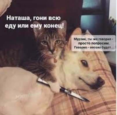 Чайку?