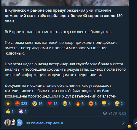 Что-то неладное творится в Новосибирской области
