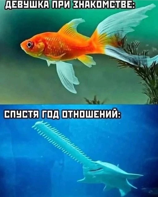 Среды картинки