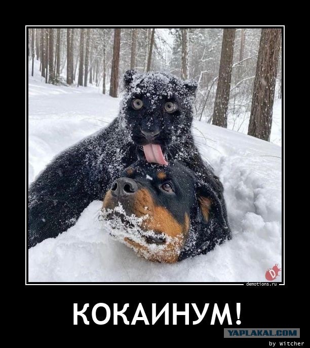 Человек это Бог который забыл о своей силе