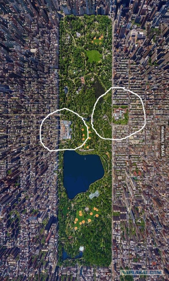 Нью-Йорк, Центральный парк