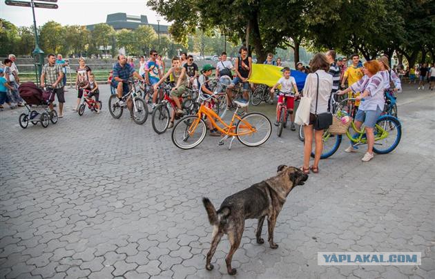 В Ужгороде умерла Душа города