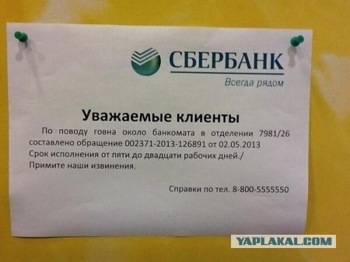 Маразмы года 2013