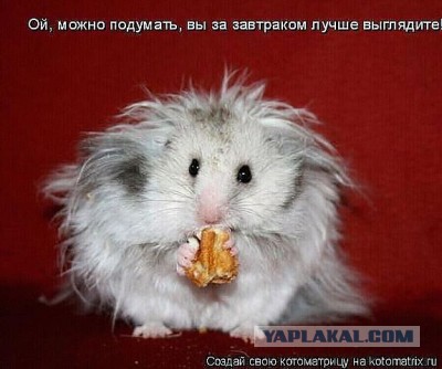 Поднимаем настроение
