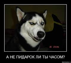 Убийцу двоих геев в Москве задержали