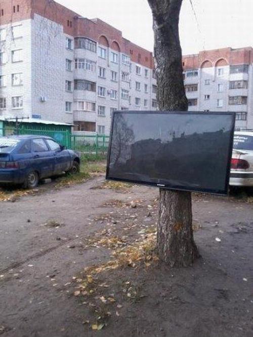 Весёлые картинки