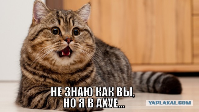 Уроки соблазна от сердцееда Геннадия