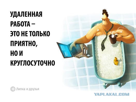 Серьезный минус фрилансеров