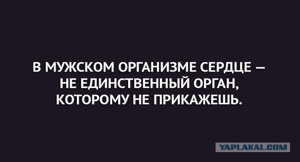 Весёлое из сети
