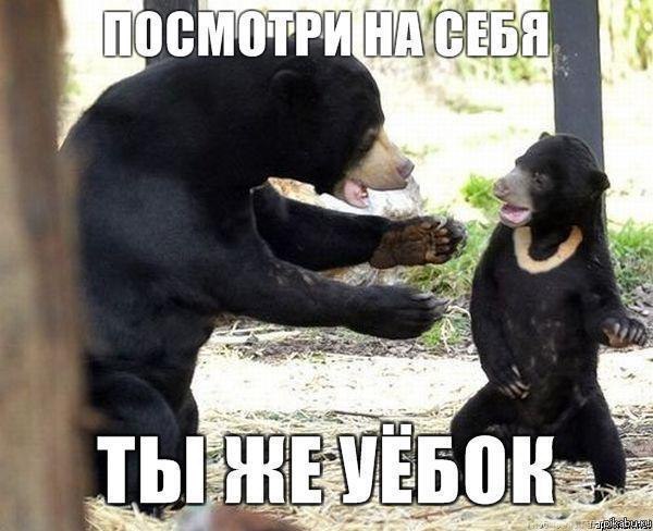 Премьер знает историю, однако))