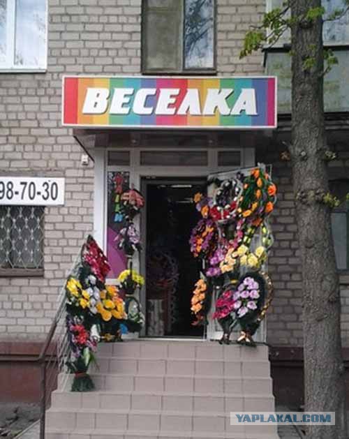 Подборка баянов.