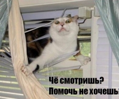 Когда жизнь завела в тупик.
