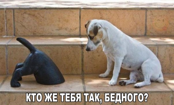 Картинки и демотиваторы