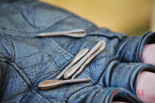 Донбасс. Луганск. События и лица ушедшего года