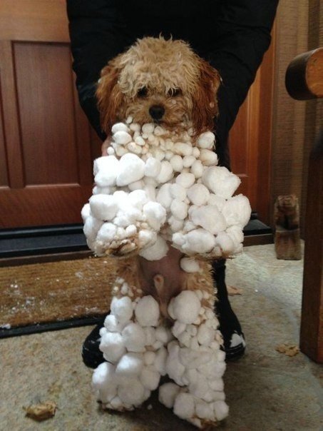 То, что улыбнуло в 2015