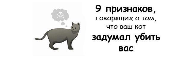 Технология вброса